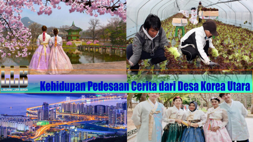 Kehidupan