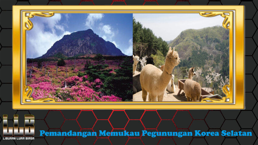 Pemandangan Memukau Pegunungan Korea Selatan