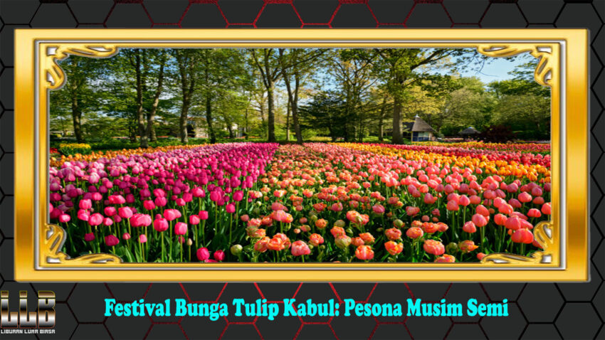 Festival Bunga Tulip Kabul: Pesona Musim Semi
